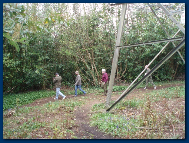 600x449 pixels (212K)